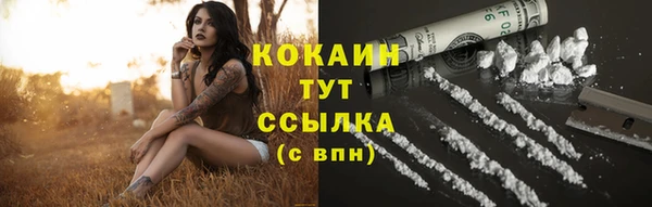 крисы Абаза