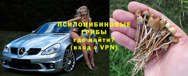 крисы Абаза