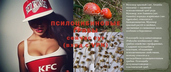 сатива Алексин