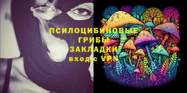 сатива Алексин