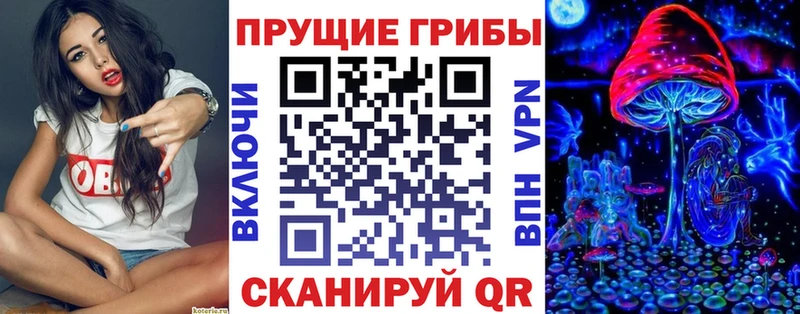 где найти   Димитровград  Псилоцибиновые грибы Psilocybine cubensis 